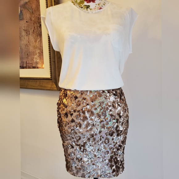 Joie Sequin Nude Tonal Mini Skirt $428 - Picture 6 of 13
